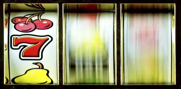 burung togel bet history and settlement interface showing active and settled bets